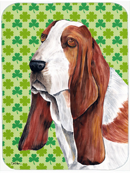 Irish store basset hound